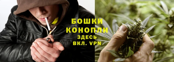 шишки Алексеевка