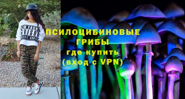 шишки Алексеевка